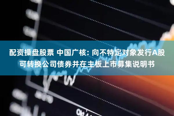 配资操盘股票 中国广核: 向不特定对象发行A股可转换公司债券并在主板上市募集说明书