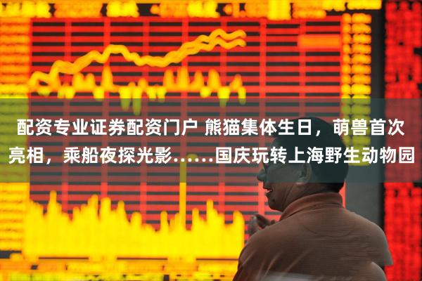 配资专业证券配资门户 熊猫集体生日，萌兽首次亮相，乘船夜探光影……国庆玩转上海野生动物园